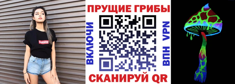 закладки  Любань  Галлюциногенные грибы мухоморы 